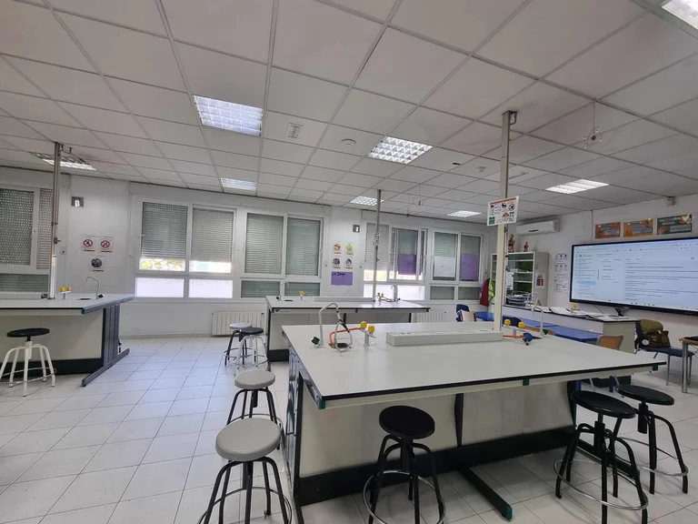 STEAM labs