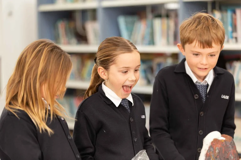 Dual curriculum pathways