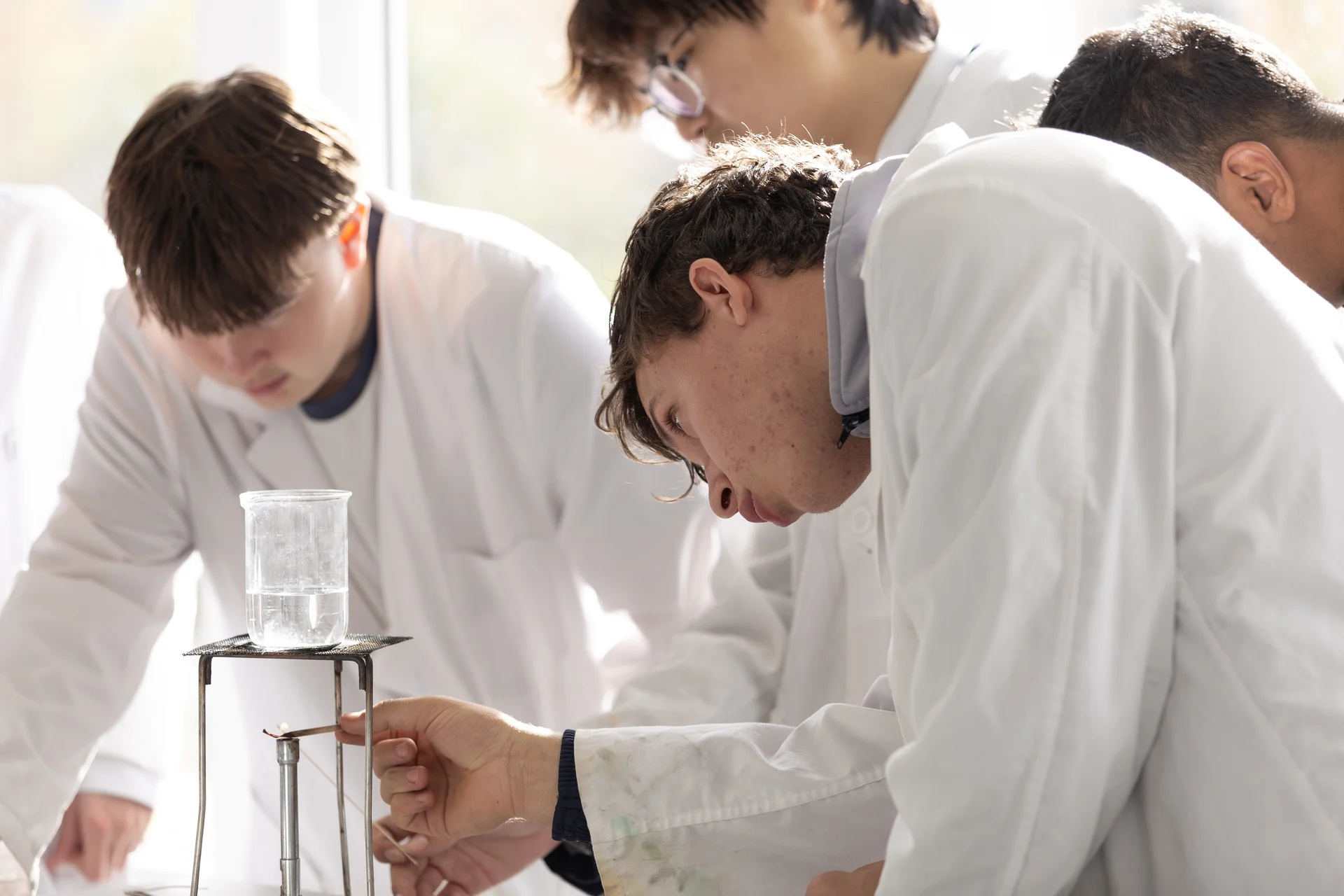 University orientation and preparation