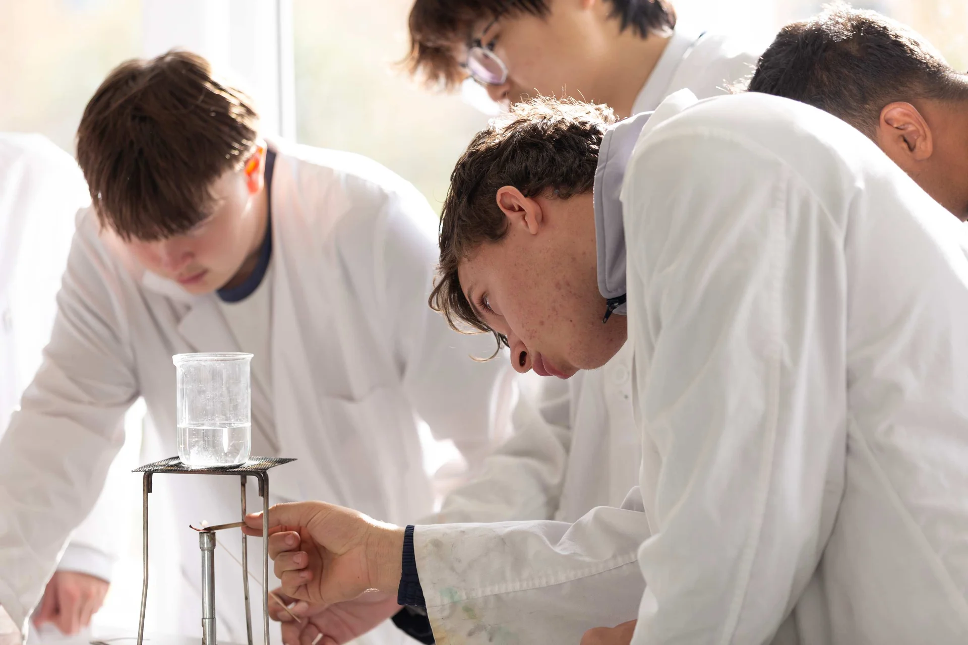 University orientation and preparation
