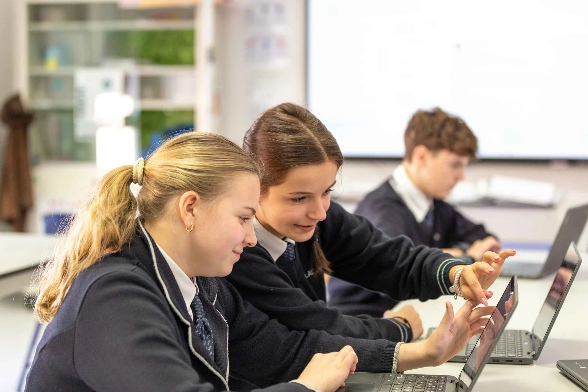 Etapas educativas